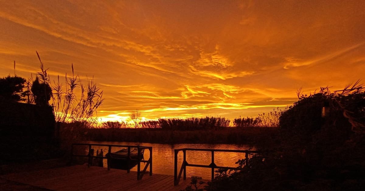 Desde Valencia: Tour a la Albufera de Valencia + Paella Tradicional