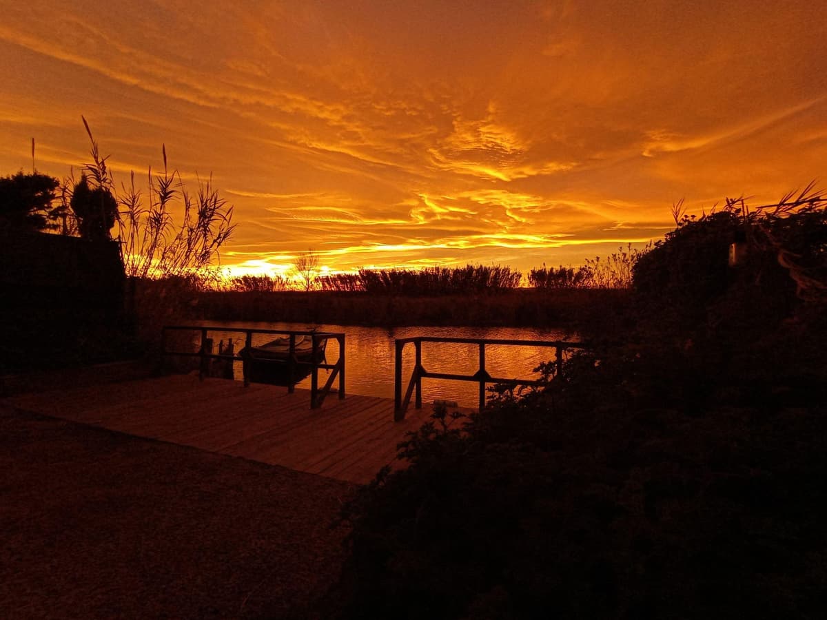 Desde Valencia: Tour a la Albufera de Valencia + Paella Tradicional