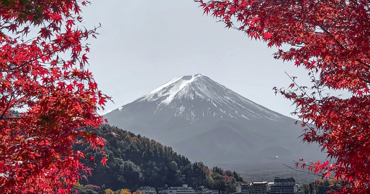Monte Fuji y temporada de momiji: Kamakura, Gran Buda y lago Ashi