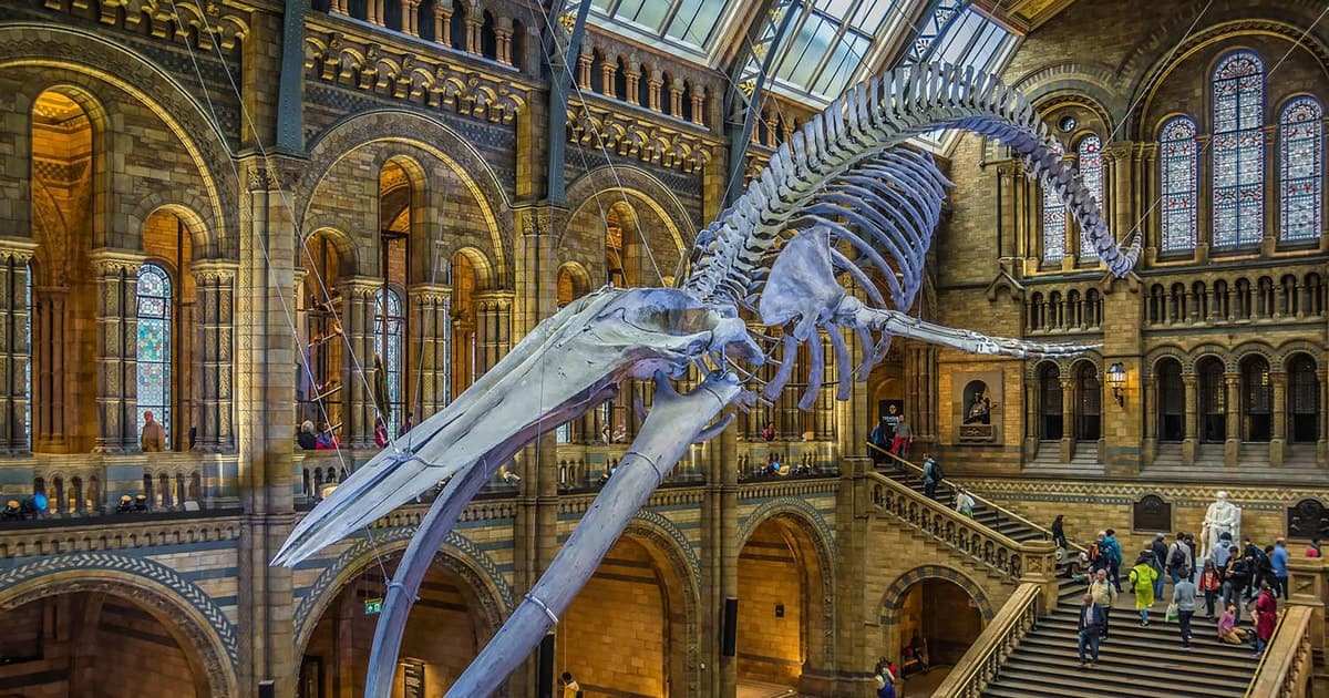 Natural Museum Adventure: Gems, Volcanoes, Dinosaurs