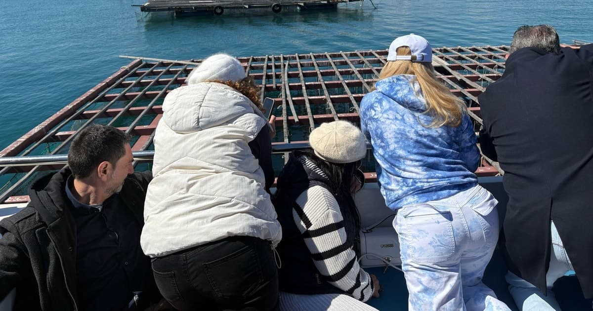 Paseo en catamarán y visita a los viveros de mejillón con aperitivo