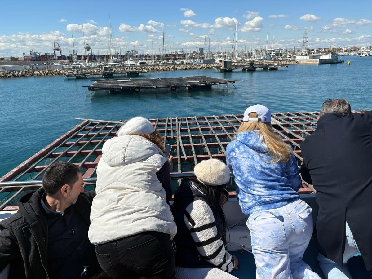 Paseo en catamarán y visita a los viveros de mejillón con aperitivo