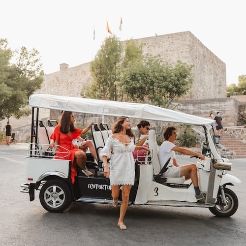 Seville: 1-Hour Tour by Private Electric Tuk Tuk