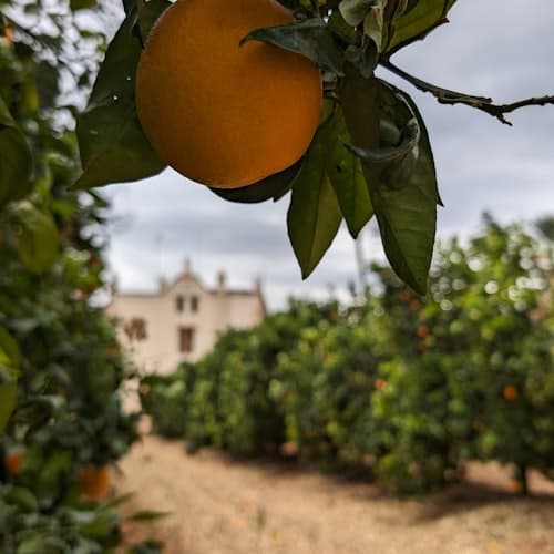 Excursión con Niños