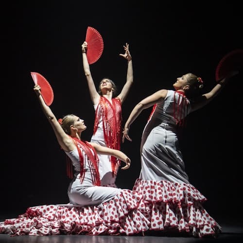 Espectáculo en vivo en el Teatro Flamenco de Barcelona
