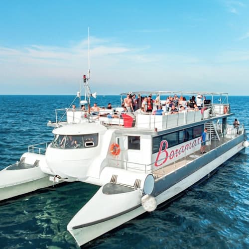 Catamaran en Valencia