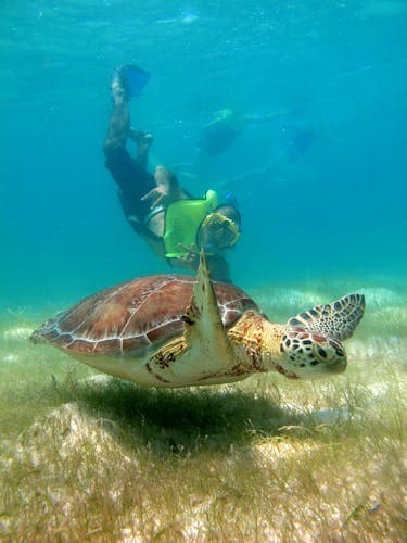 Excursiones desde Playa del Carmen