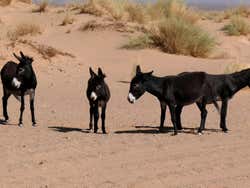 Excursiones desde Agadir