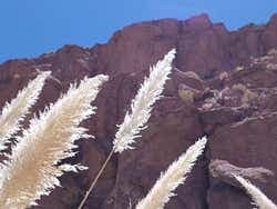 Excursiones desde San Pedro de Atacama