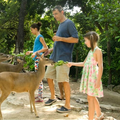 Zoológicos en Cancún