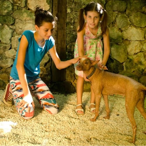 Zoológicos en Cancún