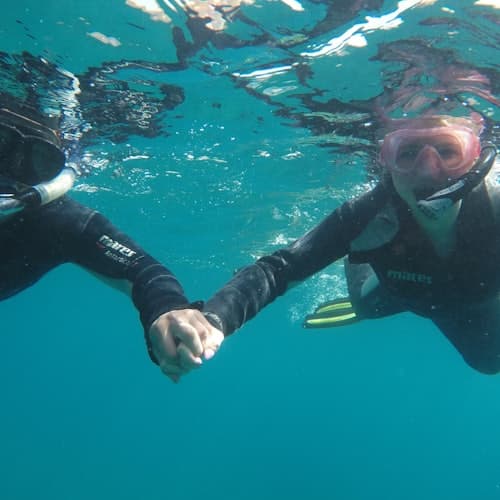Excursiones desde Santa Cruz de Tenerife