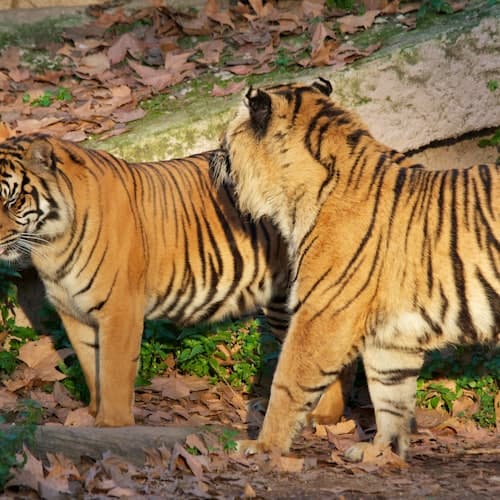 Zoo de Barcelona