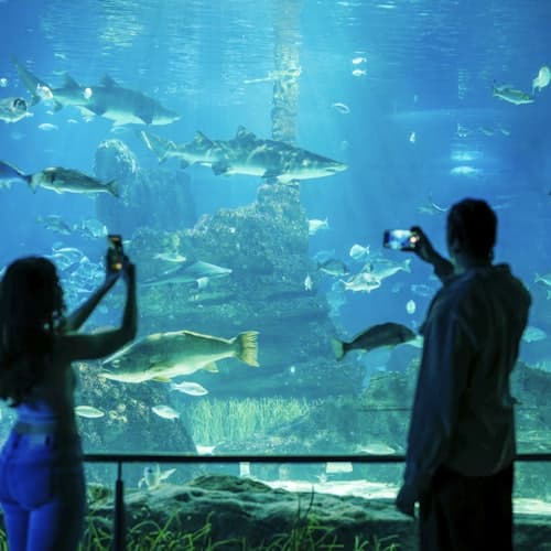 Barcelona Aquarium: Flexi-Ticket