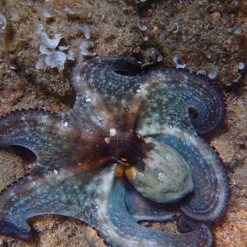 Day Trips from Barcelona