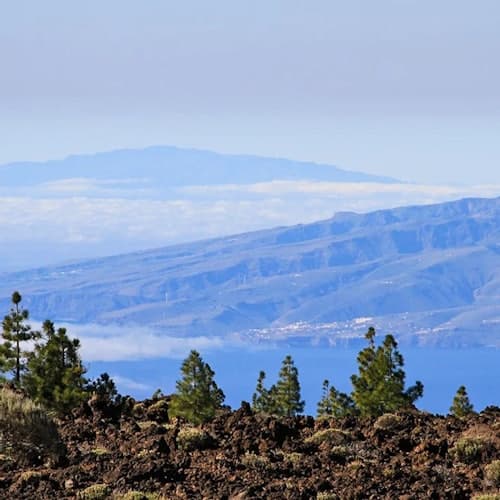 Excursiones en Tenerife