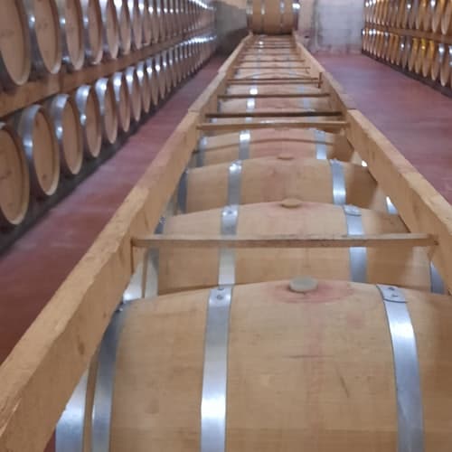Visitas a bodegas en Palma de Mallorca