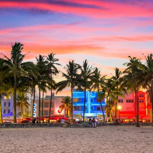Visitas guiadas en Miami