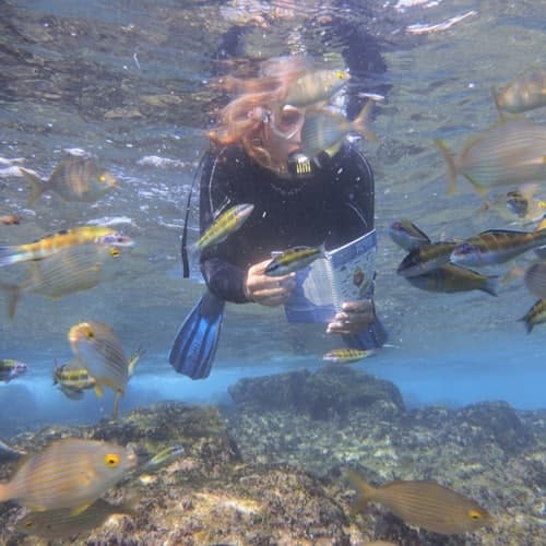 Excursiones desde Lanzarote