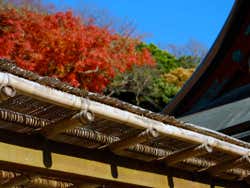 Excursiones desde Tokio