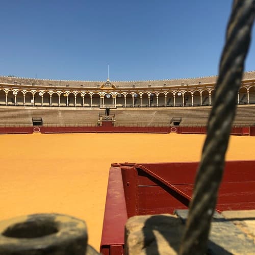 Real Maestranza: Guided Tour