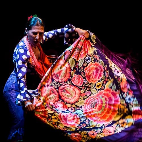Flamenco Dance Museum: Entry Ticket + Puro Flamenco Show