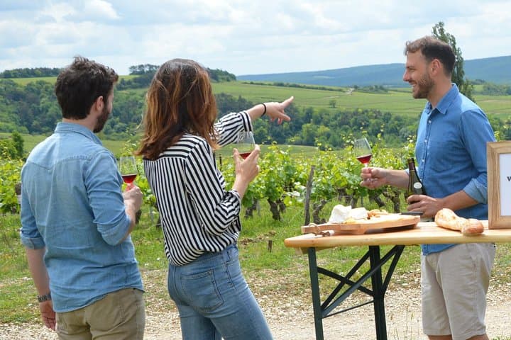 Chablis and Burgundy Wine Tour Run by Sommelier with Lunch