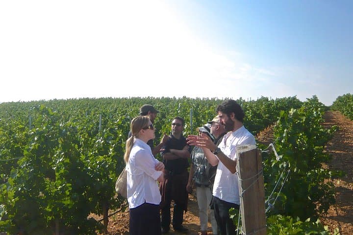 Visita Guiada a Bodegas Rurales de Madrid con Cata de Vinos