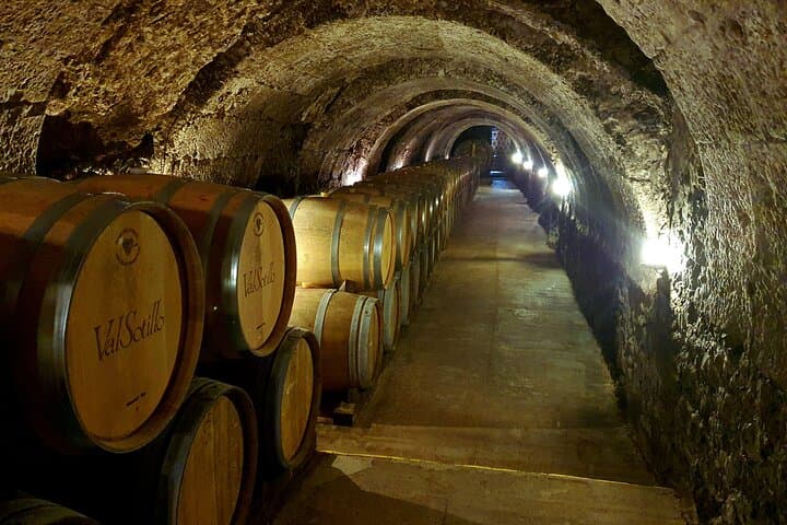 Ribera del Duero : 4 Bodegas, degustación & Almuerzo incluido desde Madrid