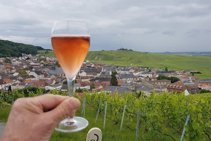 Champagne Day Tour from Paris with 7 Tastings Prestigious Houses