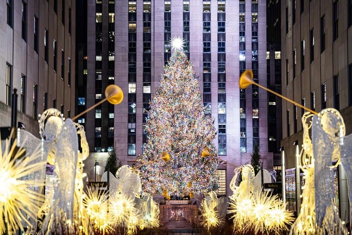 NYC Holiday Lights and Dyker Heights Luxury Bus Tour