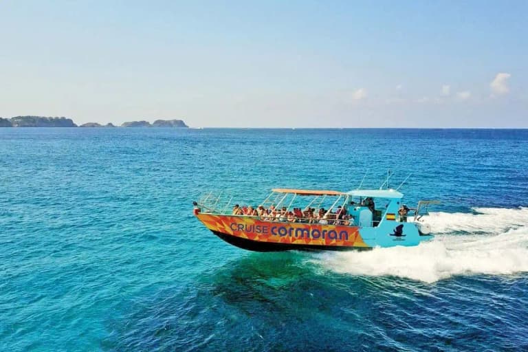 Catamarán en Mallorca